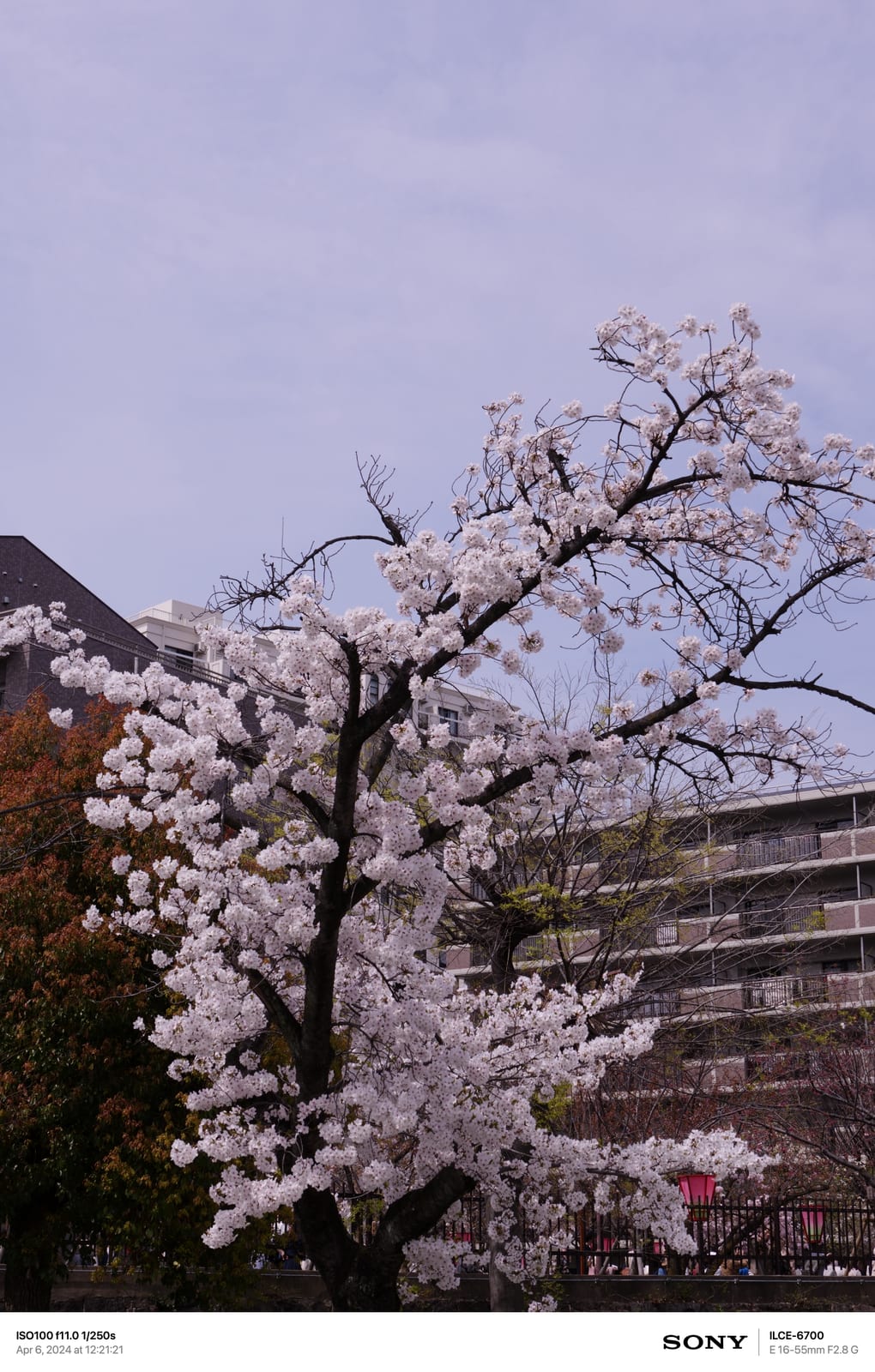 234A8937-6F22-4E24-B48F-467F63EFBBFD
