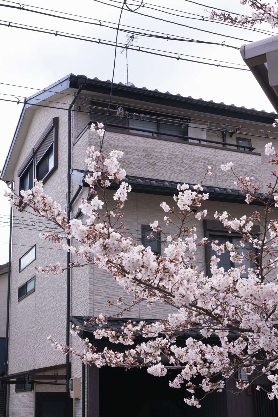 LWJ01227